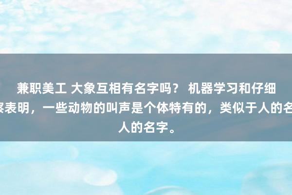 兼职美工 大象互相有名字吗？ 机器学习和仔细观察表明，一些动物的叫声是个体特有的，类似于人的名字。