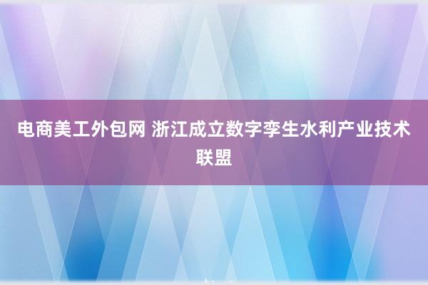 电商美工外包网 浙江成立数字孪生水利产业技术联盟